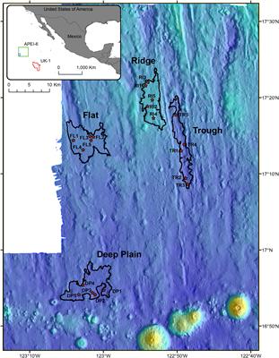 Spatial Variability of Abyssal Nitrifying Microbes in the North-Eastern Clarion-Clipperton Zone